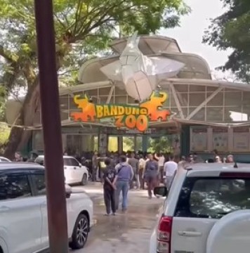 Unggahan manajemen Bandung Zoo. (Instagram @bdg.info)